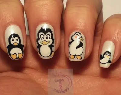 Пингвин из Мадагаскара | Nail trends, Nails, Accessories