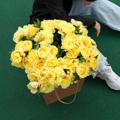 Саженцы Пион травянистый Йуллоу Краун, купить в Омске