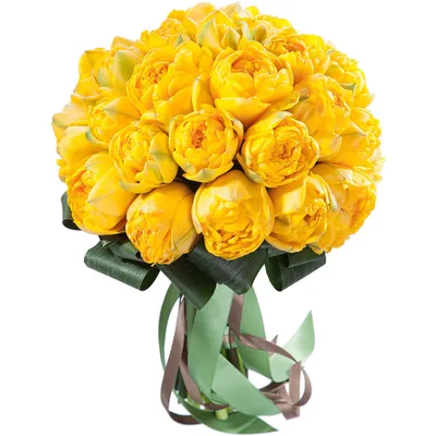 Пион желтый в Шарыпово - Купить с доставкой от 500 руб. | Интернет-магазин  «Люблю цветы»
