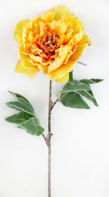 Букет 9 желтых и розовых пионов с кустовыми розами и альстромерией купить с  доставкой в СПб