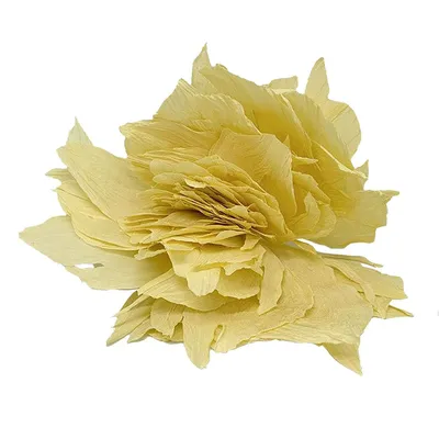 Желтый цветок пиона PNG , Тушь, пион, желтый PNG картинки и пнг PSD рисунок  для бесплатной загрузки