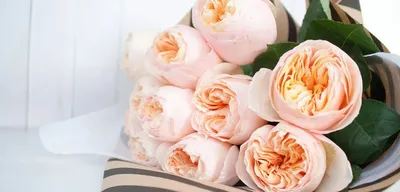 Пионовидные розы сорта фото фото