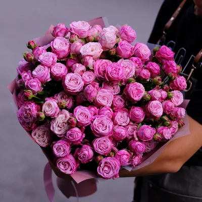 Сортовые пионовидные розы, гортензия, пионы, диантусы, озoтамнус - Красивые  цветы в Тамбове