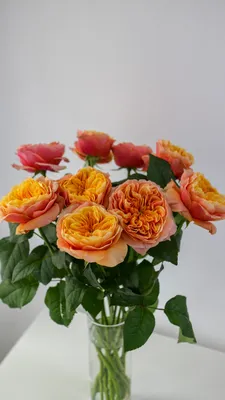Пионовидные розы Ред Пиано с эвкалиптом - купить в Москве | Flowerna