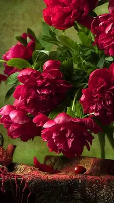 Обои букет, тюльпаны, розовые, пионы, лютики на телефон и рабочий стол,  раздел цветы, разрешение 2048x1360 - скачать