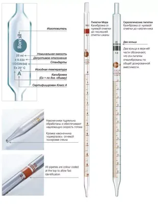 Пипетка Мора Burkle ПП, 50 мл по цене производителя с доставкой по РФ —  Лабреактив.