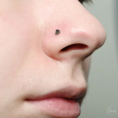 Пирсинг носа по низким ценам: сделать пирсинг носа в Москве - Classic Tattoo