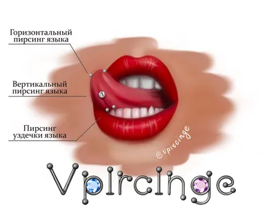 Виды проколов языка студия Vpircinge СПб