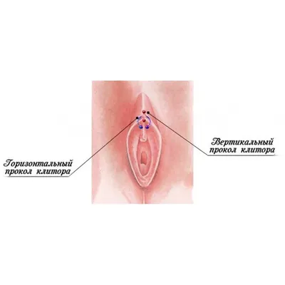 фото женского интимного пирсинга, горизонтальный прокол капюшона клитора /  Тату салон «Дом Элит Тату»
