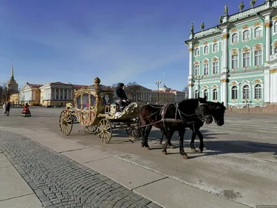 Санкт-Петербург в марте — отзывы туристов с фото | Туристер.Ру | Дзен