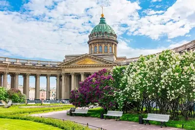 Почему в Санкт-Петербург переезжать лучше весной | Ю-Будни | Дзен