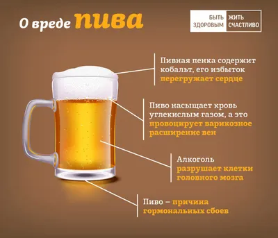 Вред пива - кардиолог предупредил об опасности | Новости России