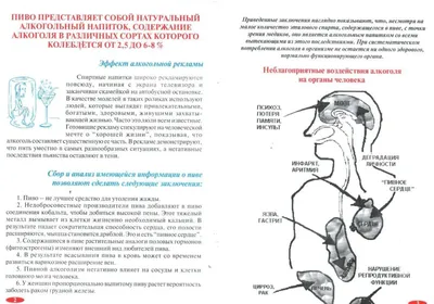 Денвер — пивное сердце США. Как спланировать отпуск в столице Колорадо / NV