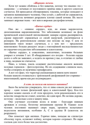 Денвер — пивное сердце США. Как спланировать отпуск в столице Колорадо / NV