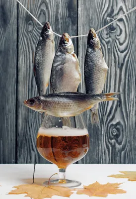 Пиво с рыбой фото фото