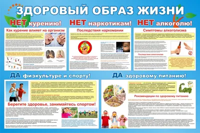 Конкурс плакатов \"Здоровый образ жизни - наш выбор!\" - \"Вести Холмогорки\" -  ГБПОУ МО \"ВАТ \"Холмогорка\"