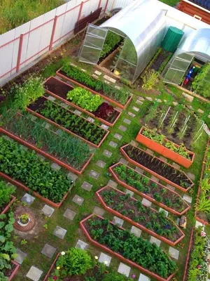 Планировка огорода 👍 ⠀ @dacha.bloog ⠀ ⠀ ⠀ 😎❤️ Подпишись на нас  👇🏻👇🏻👇🏻 .✓ @dacha.bloog . .✓ @dacha.sovet ⠀ Автор(… | Instagram
