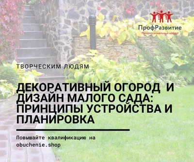 Всё по плану: на какие зоны лучше всего разделить дачный участок?:  Общество: Облгазета