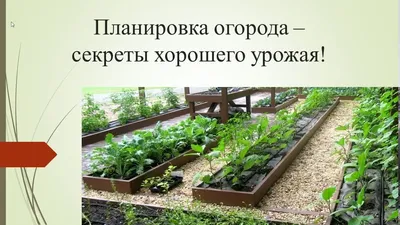 Создание декоративного огорода - Avtopoliv.com.ua — интернет-магазин