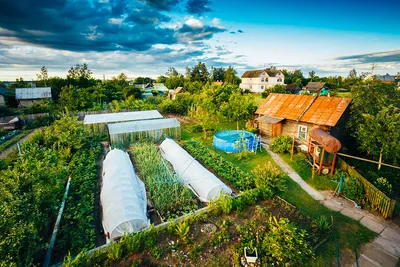 планировка сада и огорода на 6 сотках фото: 5 тыс изображений найдено в  Яндекс.Картинках | Обустройства сада, Дизайн овощного огорода, Идеи для  садового дизайна