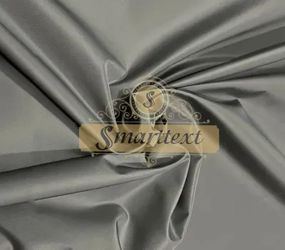 Плащевая ткань (Плащевка) Канада Светло-серый (ID#741779468), цена: 133.20  ₴, купить на Prom.ua