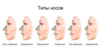 Ринопластика в Москве | Цены на пластику носа