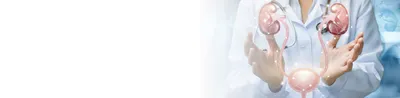 Пластика уздечки крайней плоти (френулотомия) Киев - БЕЗ ШВОВ. (Foreskin  bridle plastic surgery) - YouTube