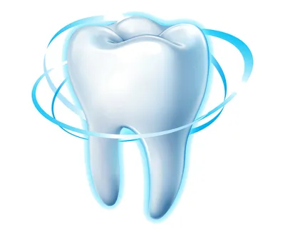 Стоматологическая модель 32, съемные ввинчиваемые зубные мягкие десны для  kilгор Nissin | AliExpress