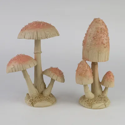 Грибы летают пластинчатые грибы в лесу Стоковое Изображение - изображение  насчитывающей поганка, взорвать: 197083397