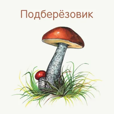 Декоративные грибы, широко используемые погодозащищенные 2 головки,  Симпатичные привлекательные грибы, статуя, прочная и долговечная 3,9 в  высоту для украшения | AliExpress