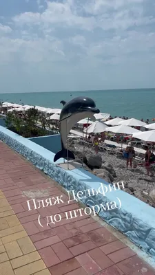 Лазаревское сегодня | Лазаревское, пляж Дельфин . (До шторма) | Дзен