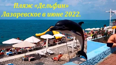 Пляж \"Дельфин\", все классно, новые дельфинчики! Июнь 2022 🌴ЛАЗАРЕВСКОЕ  СЕГОДНЯ🌴СОЧИ. - YouTube