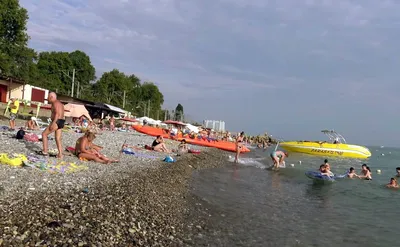 Отзыв о Пляж \"Дельфин\" (Россия, Лазаревское) | Один из самых лучших пляжей  в Лазаревской