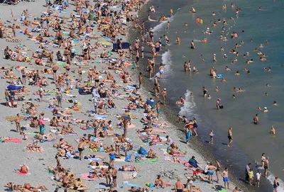 Пляж «Дельфин» в Лазаревском: отзывы, фото, цены, как добраться