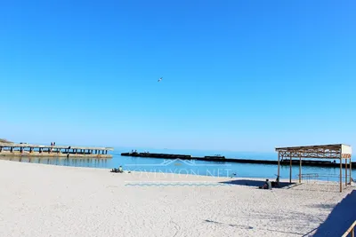 Пляжи Одессы: тест-драйв пляжа “Дельфин”, - ФОТО | Новини