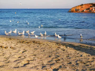 Пляжи Одессы 2020 и карантин: на каких пляжах лучше не купаться