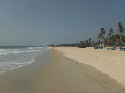 Индия, ГОА, пляж КОЛВА | отзывы