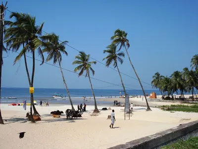 Лучшие пляжи Гоа с белым песком