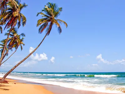 Пляж Колва в Южном Гоа в Индии - телеграм чат, отели, рынки и шоппинг