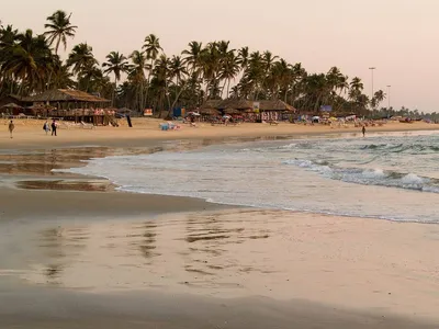 Пляж Колва на Гоа — искристый песок под пальмами | Мойпляж.рф | Дзен