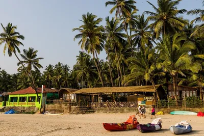 Кола (пляж в Гоа): отзывы и фото туристов 2023-2024, цены на отдых