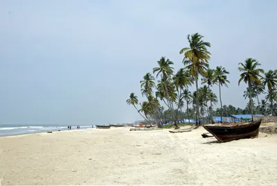Индия, ГОА, пляж КОЛВА - «Любовались как индийцы весело провожают закат» |  отзывы