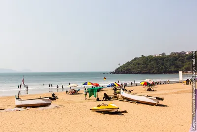 Отзывы о Пляж Колва (Индия, Гоа)