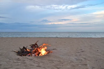 Создатели бара «Огонь.Бургер» к лету откроют «огненный» пляж на Балтыме.  Экономика. JustMedia.ru