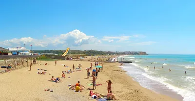 Пляж \"Вязовая роща\" в Севастополе: как добраться, где снять жилье