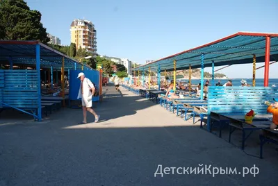 Санаторий Мисхор Крым Цены 2019. Санаторий Мисхор Крым.