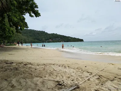 Отливы пляж три транг пхукет ноябрь. Tri Trang Beach Resort — самые  последние отзывы