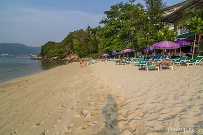 Пляж Три-Транг | гольф-курсы, SPA-салоны, чистейшая лазурная вода, мягкий  белый песок, красивый коралловый риф | Пхукет | Таиланд