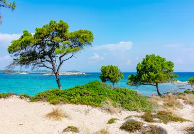 Пляж Вурвуру на полуострове Ситония, Греция Стоковое Фото - изображение  насчитывающей перемещение, греция: 166104346