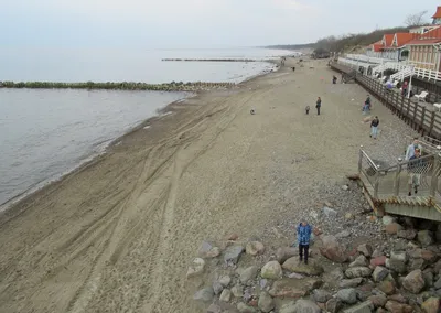 Оккупировали берег»: отдыхающие пожаловались на лежаки, которыми заставили  пляж Зеленоградска - Новости Калининграда
